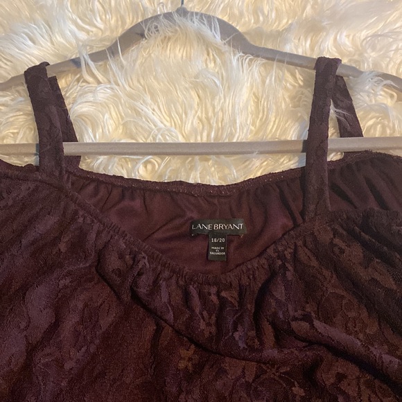 Lane Bryant - Picture 6 of 6